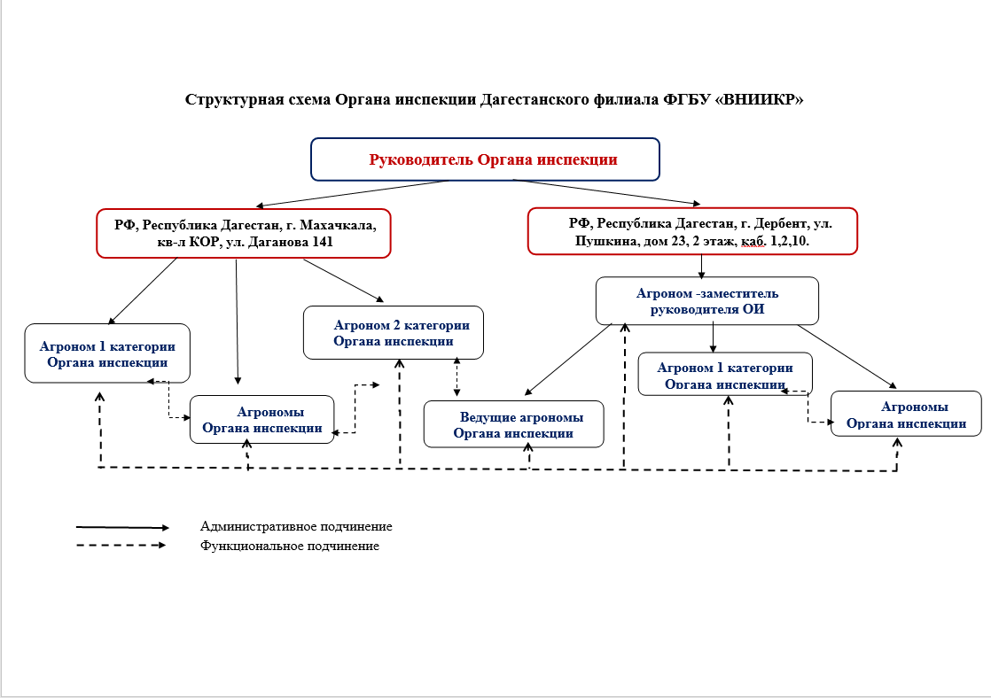 структура